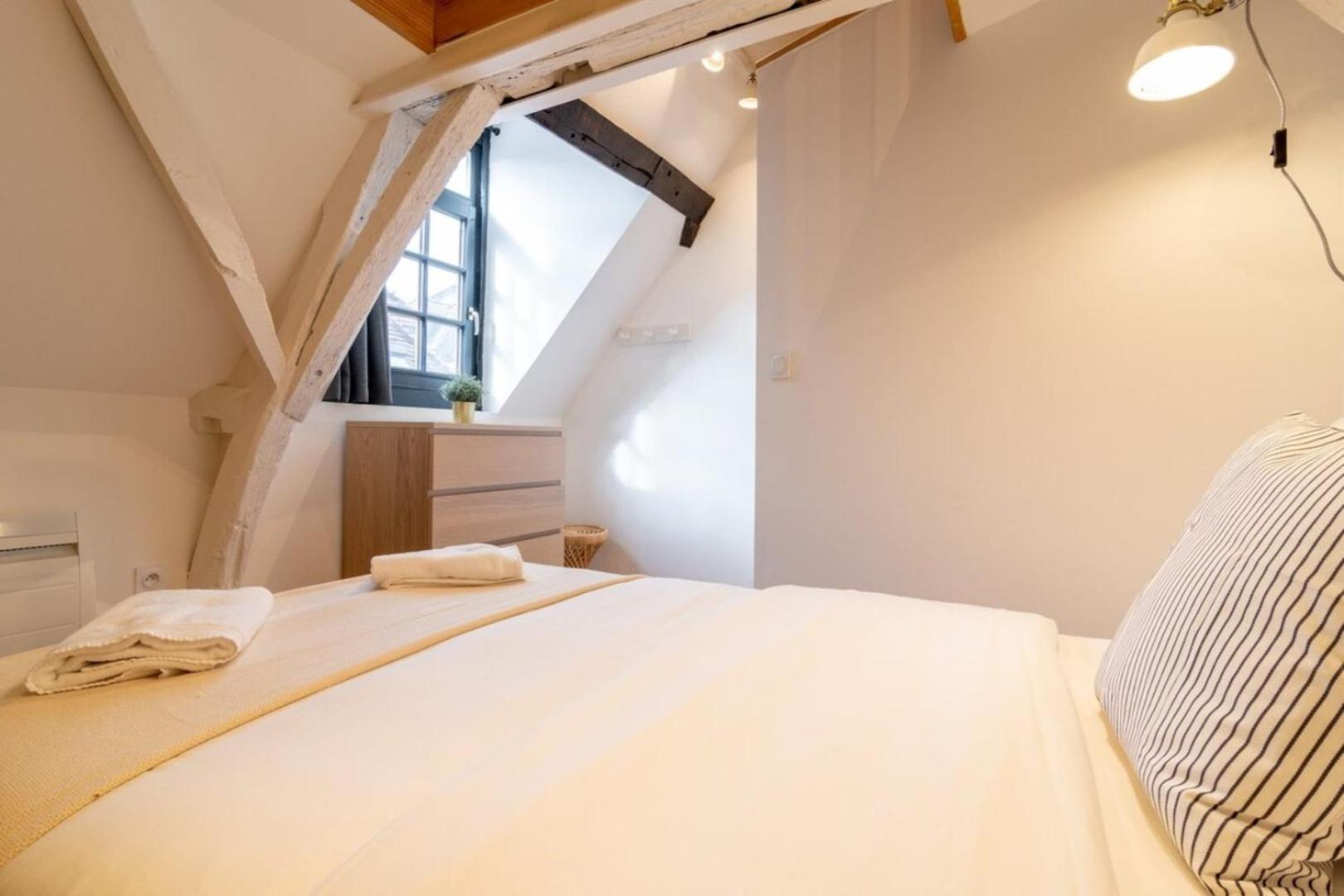 Unique 3 Bed House In Old Lille! Lägenhet Exteriör bild
